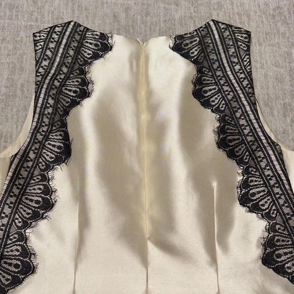 Sz 14 champagne satin sheath dress Antonio Melani black lace knee length - Picture 6 of 8
